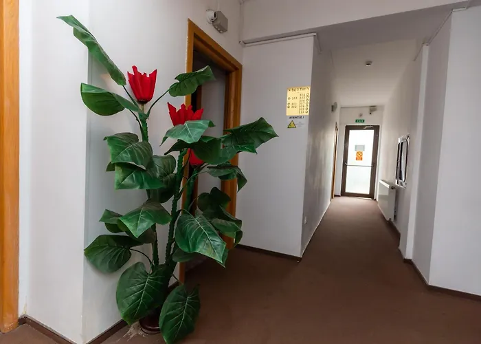 Hotel Sir Colentina Bucureşti